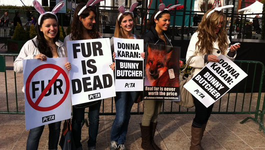 West Hollywood becomes first U.S. city to ban sale of fur