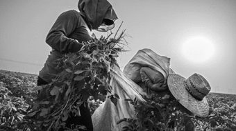 The fight isn’t over for farm worker overtime