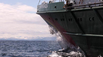 Sensitive corals found at Shell’s Arctic drilling site