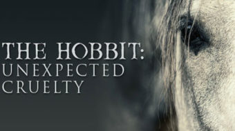 How “The Hobbit” caused 27 animal deaths