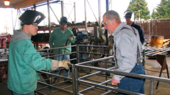 Santorum’s pro-ignorance populism could doom America