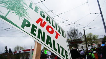 Efforts to relax marijuana laws gain support