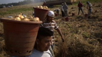 Critics: Mandatory E-Verify comes at a serious price