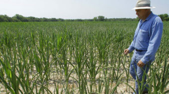 Grocery prices soar as drought intensifies