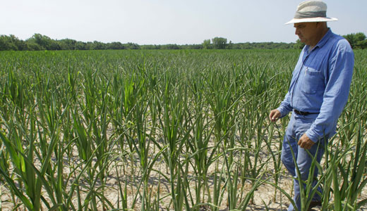 Grocery prices soar as drought intensifies