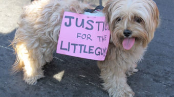 It’s official: Top 1% doubled their share of nation’s income