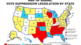 American dream: Florida voters defend rights