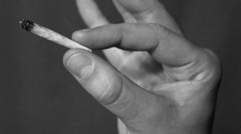 California ballot measures: ecology wins, marijuana loses