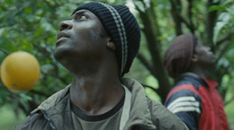 “Mediterranea”: Europe’s embattled migrants on film