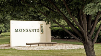Judge scraps farmers’ case against Monsanto