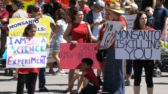 Colombia and world cope with Monsanto’s toxic herbicide