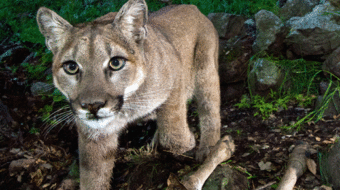 Science news roundup: Water on Mars, Arctic drilling ends