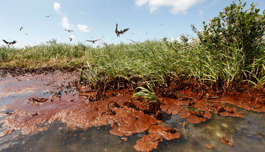 Gulf still reeling from effects of BP oil spill