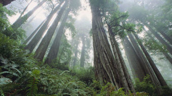 Navy jets, electronic warfare stir outrage