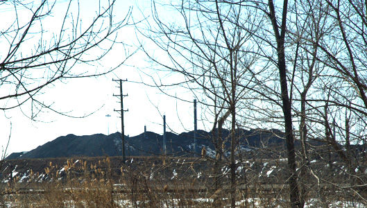 Chicago residents fight to shut down petcoke operations