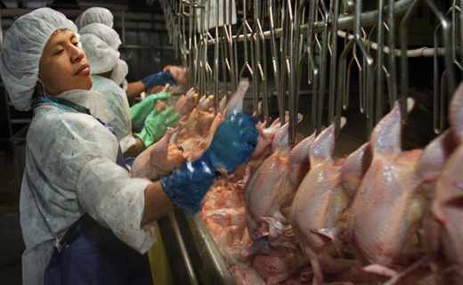 Campaign exposes widespread abuses of poultry industry workers