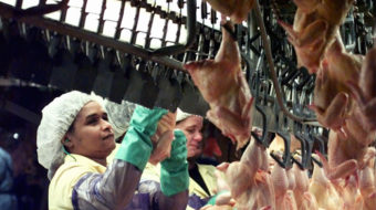 Civil rights group: Stop speedup in poultry plants!
