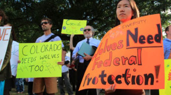 Report shows strong public support for Endangered Species Act