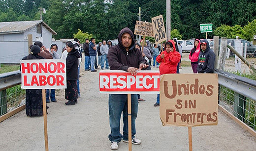 Blueberry pickers strike at Labor Camp 2