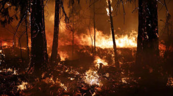 Rim Fire the latest record-breaker in year of unrelenting disasters