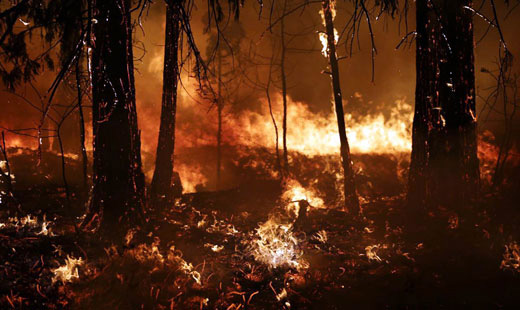 Rim Fire the latest record-breaker in year of unrelenting disasters