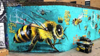 Company halts bee-killing chemicals as activists stir up a hornet’s nest