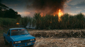 Fresh from Toronto International Film Festival: “This Changes Everything”