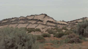 Today: World Day to Combat Desertification