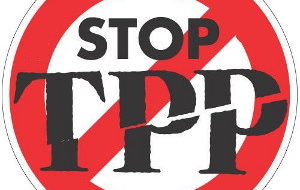 New Trans Pacific trade partnership stirs worries