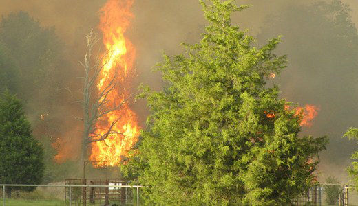 Labor calls for aid after Texas wildfires