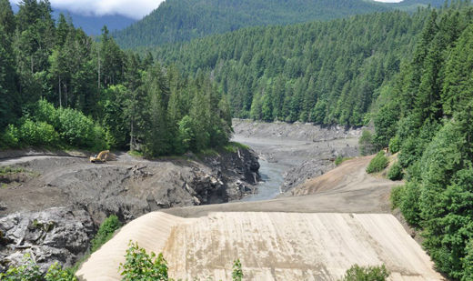 Hopes soar as Elwha dams come down and salmon return