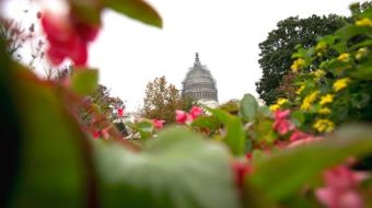 Right wingers shift strategy: Government to stay open for now