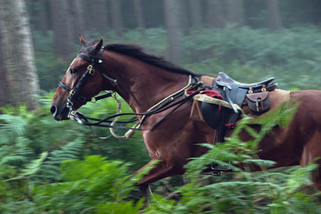 Spielberg’s “War Horse” is terrific, moving epic