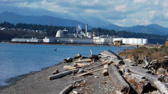 Paperworkers end strike, resume talks with Nippon