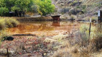 Obama administration seeks strong mercury regulation