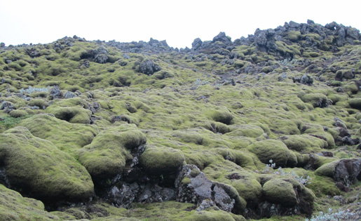 Iceland: These mossy stones spin a story of Western democracy