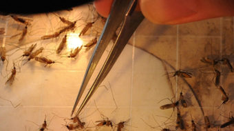 Money bill dumps anti-worker schemes