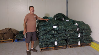 Six years after oil spill, Louisiana oyster farmers still struggling