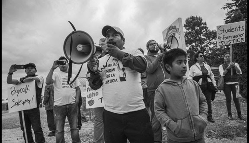 Farm workers win watershed election in Washington state