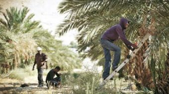 Jewish Labor Committee protests Israeli labor rule discriminating vs. Palestinian workers