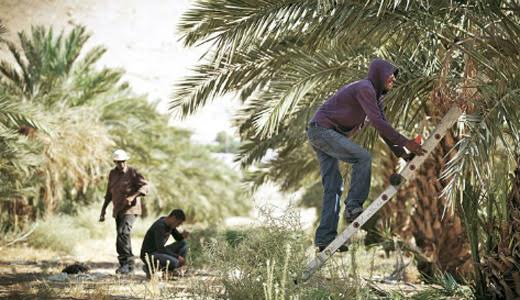 Jewish Labor Committee protests Israeli labor rule discriminating vs. Palestinian workers