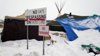 Trump launches “blitzkrieg” against Native America on DAPL issue