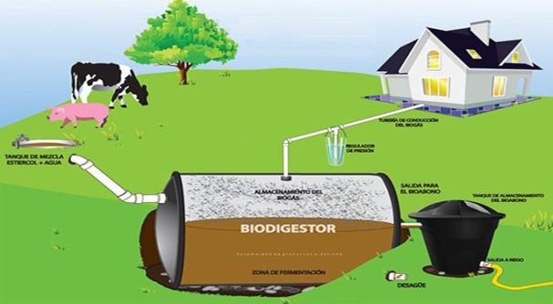 Biodigesters can be used to produce power for homes. | Granma