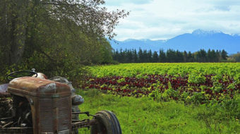 No farms, no food: Washington’s Ward-Wheeler Farm preserved