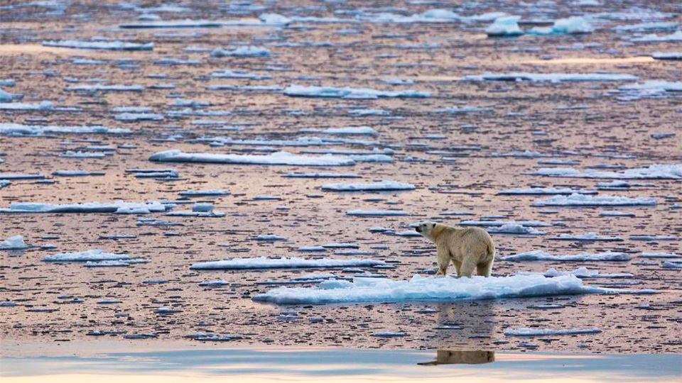 Arctic temperatures soar as sea ice shrinks