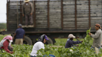 In rural Florida, unions seek solidarity with immigrant workers