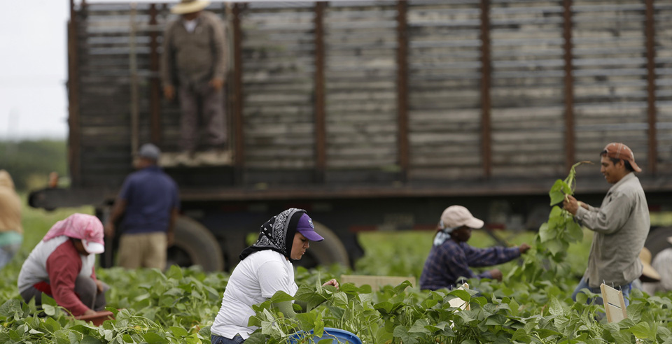 In rural Florida, unions seek solidarity with immigrant workers