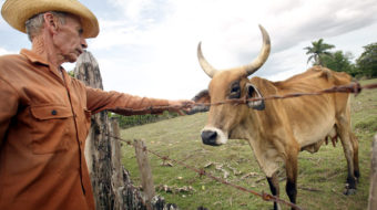 Saving socialism: Cuba renews land reform to bolster food production