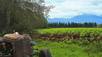 Book review: Rich depiction of Pacific NW and its people