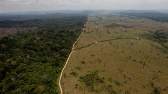 Brazil: Oligarchy versus the Amazon rainforest